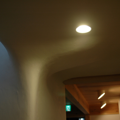 一部天井は左官で有機的な柔らかい仕上げ