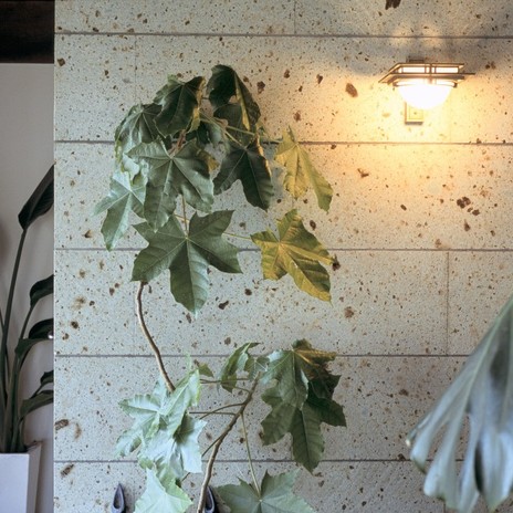 室内にも大谷石を使い外観と繋がりを持たせたデザインに