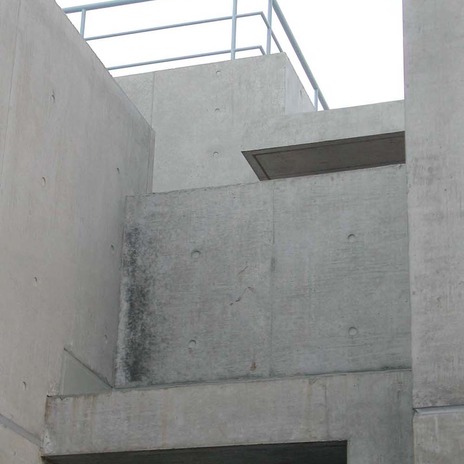 建物アプローチから中が見えないように程よく遮蔽された外壁