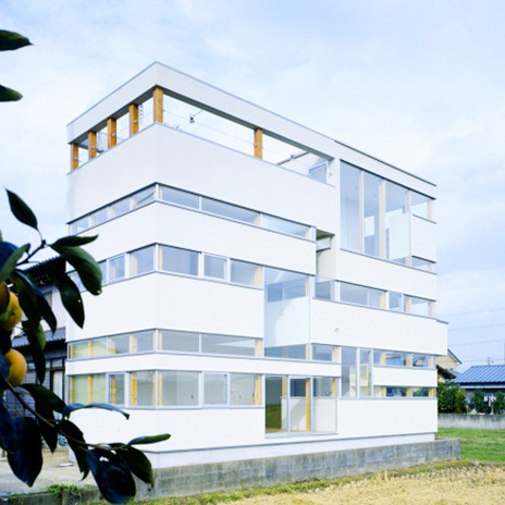 透明感のある外観