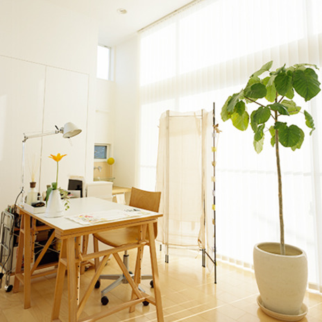 開放感があるリビング