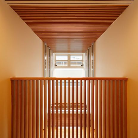 漆喰壁と無垢木材の天井