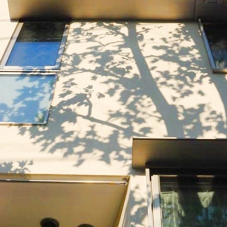 木陰がやさしく壁面を包む