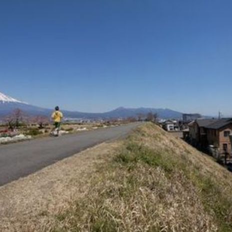 風景の関係性から導かれた傾いた壁