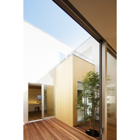 木を植えて生き生きとした空間になった1階中庭