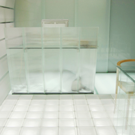 ガラスの質感を楽しむ室内