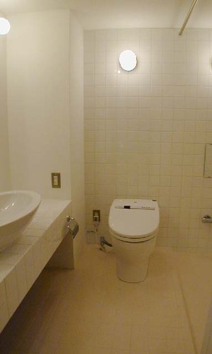 ガラス張りバスルームで明るく広く見せる工夫も