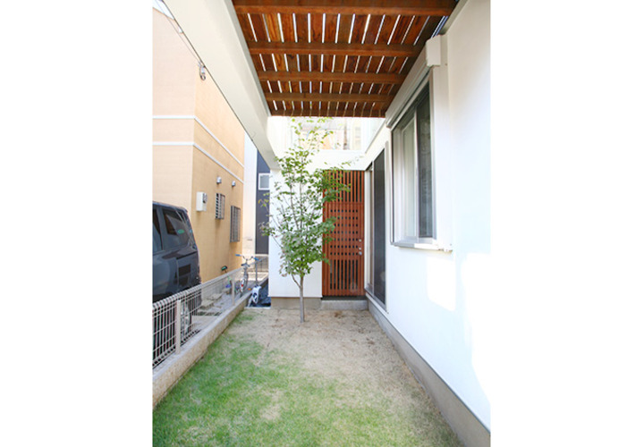 家族を見守るシンボルツリー