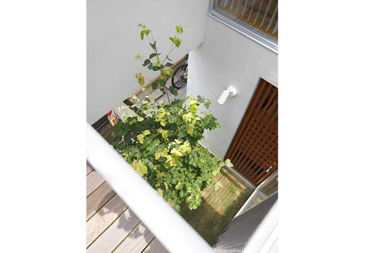 デッキから見下ろすシンボルツリー