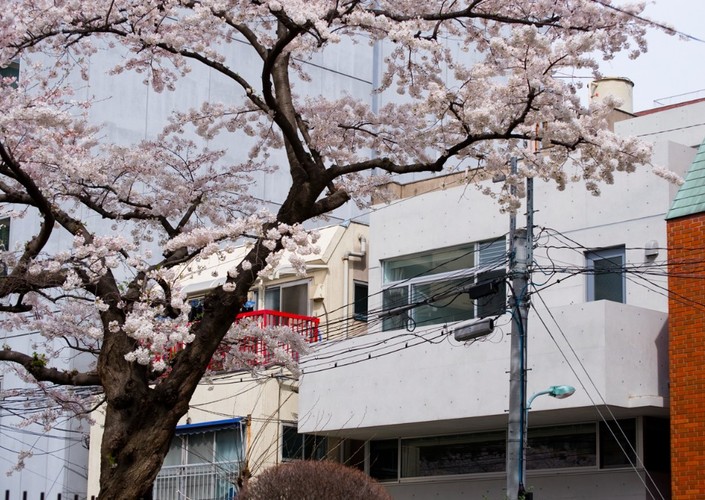 南麻布の二世帯住宅