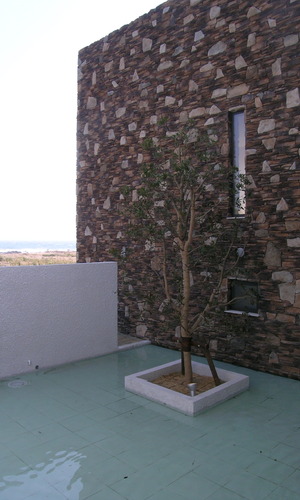 非日常の雰囲気が心地よい涼しげな水盤