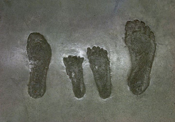 子どもの成長を楽しむ家