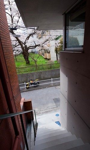 子世帯へ登る外階段からの眺め