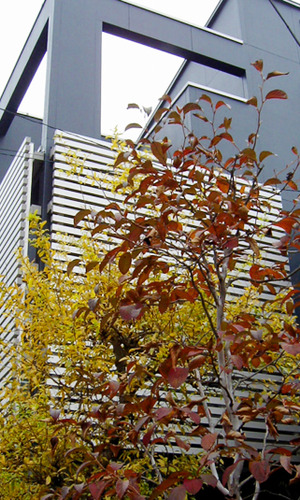 ルーバーにより外からの視線を遮ります