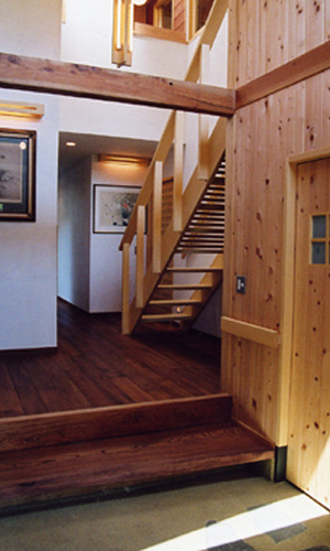 様々な木をまとめたデザイン