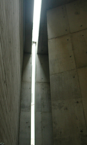 印象的な光と影を生み出す細長いトップライトとハイサイドライト