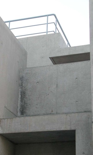 建物アプローチから中が見えないように程よく遮蔽された外壁