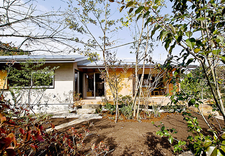 庭木で見え隠れする南側外観