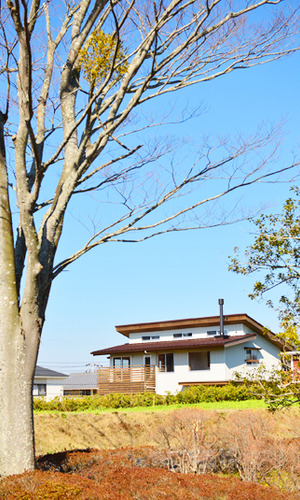 自然と調和する外観