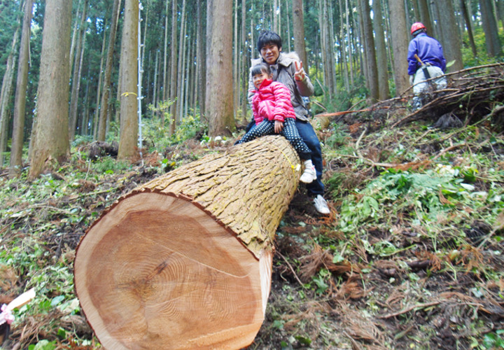 伐採から始まる家づくり