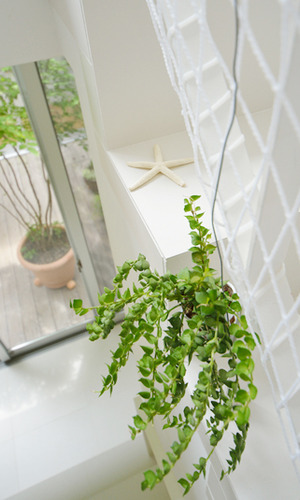 階段の上からもグリーンを飾って