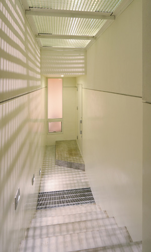 磨りガラスから光が入る地下階段