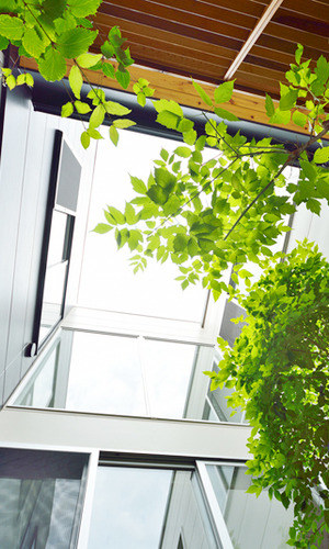 中庭から空を眺める