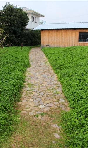 緑を分けて続くポーチ