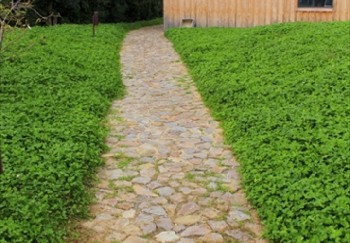 緑を分けて続くポーチ