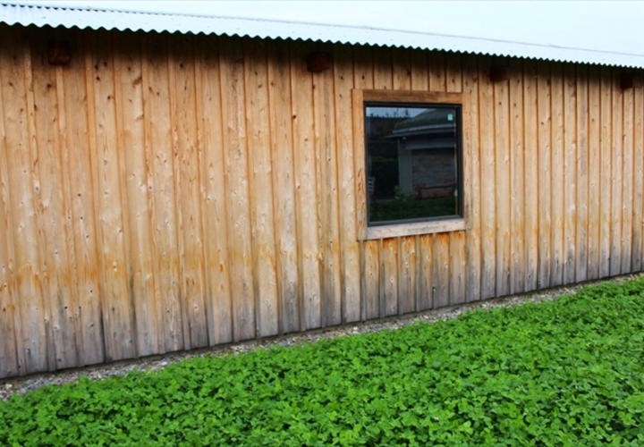 味わいのある木の平屋