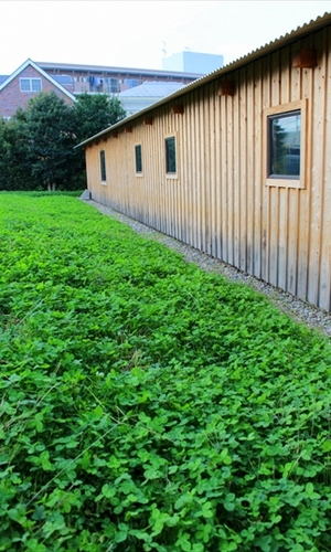 自然の中に佇む家