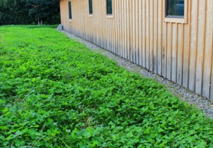 自然の中に佇む家