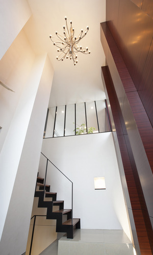 階段が敷地の高低差を解消するのと同時に、魅せる空間作りに活かされている