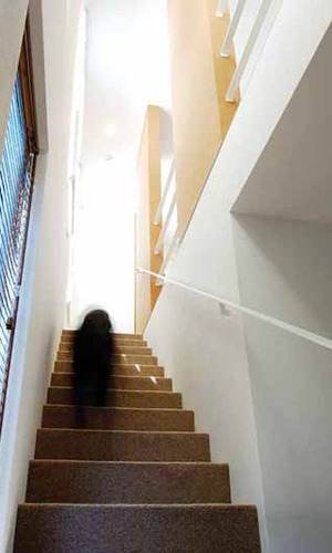 カーペットを敷いた階段