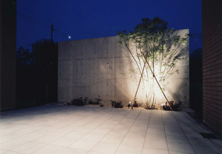 ライトアップされたシンボルツリー Fevecasa フェブカーサ