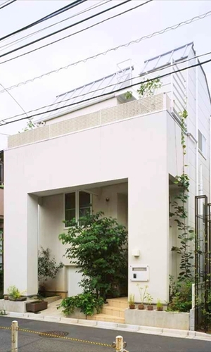 白い外壁に緑が印象的な外観