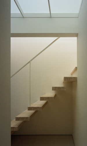 厚みのある集成材でできた、壁から生える階段のような佇まい