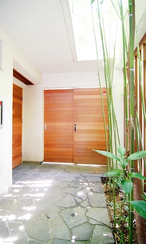 緑と光のアプローチ