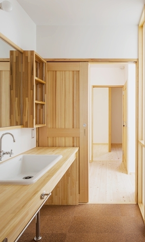 理科流しのある洗面台