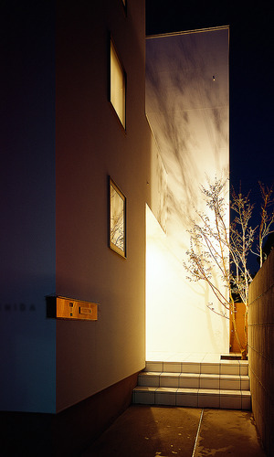 ヒメシャラの萌黄色を魅せるように、ひっそりと佇んでいる玄関アプローチ