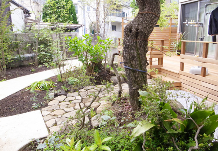 表情豊かな庭の植栽