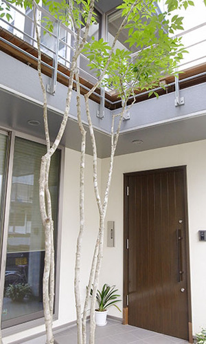 スタイリッシュな玄関ドアのエントランス