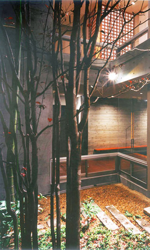 中庭から玄関を望む