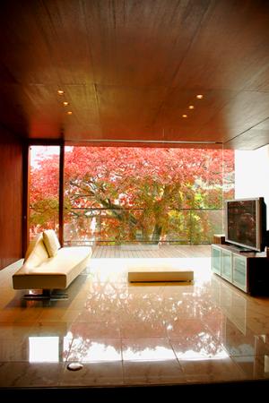 楓のある家、楓が写り込んだ床