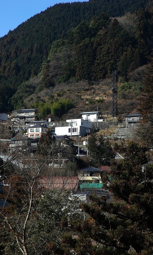 豊かな緑の中に浮かんでいるかのような、シンプルな箱