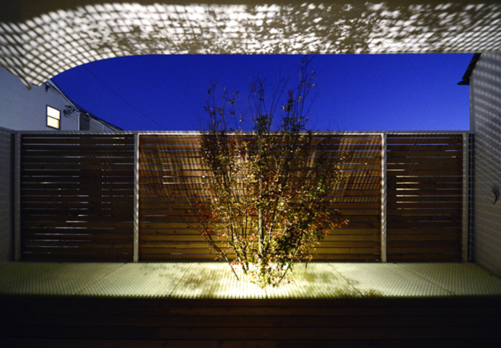 バルコニーのライトアップされたヤマモミジ『生命の木』