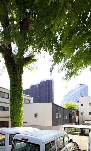 緑に包まれるような外観