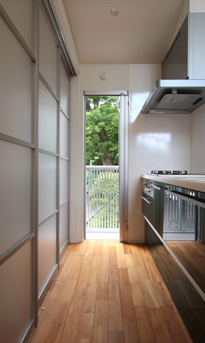 新緑が覗く勝手口