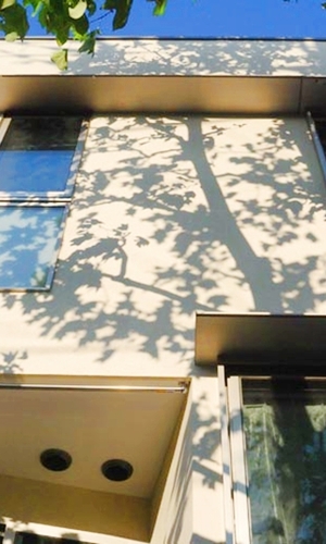 木陰がやさしく壁面を包む