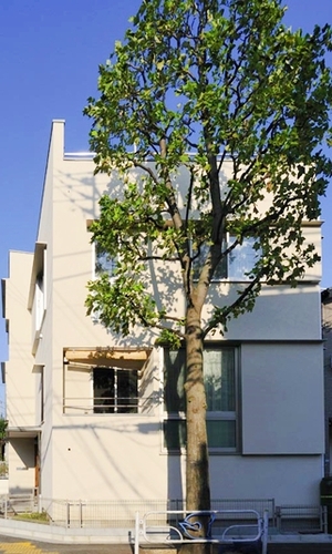 並木が外部からの視線を程よく遮る